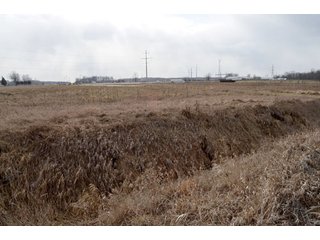 Property photo 35 - 127 Acres Offered in 8 Tracts - Allen & Dekalb County Land